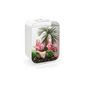 Voir la diapositive 3 : Oase Aquarium 15l led contours blanc - Life 15 LED white