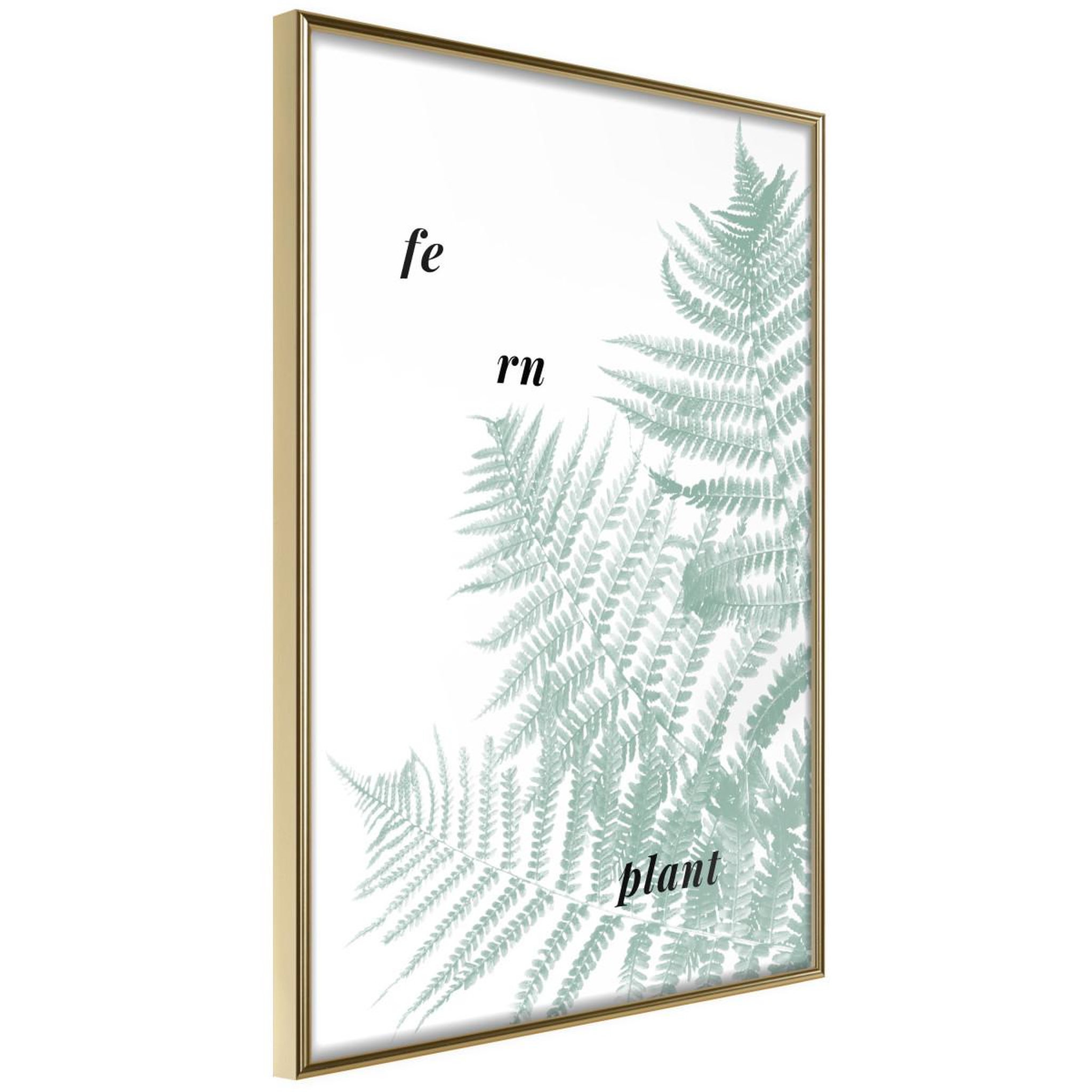 Paris Prix Affiche Murale Encadrée  Pale Green Fern