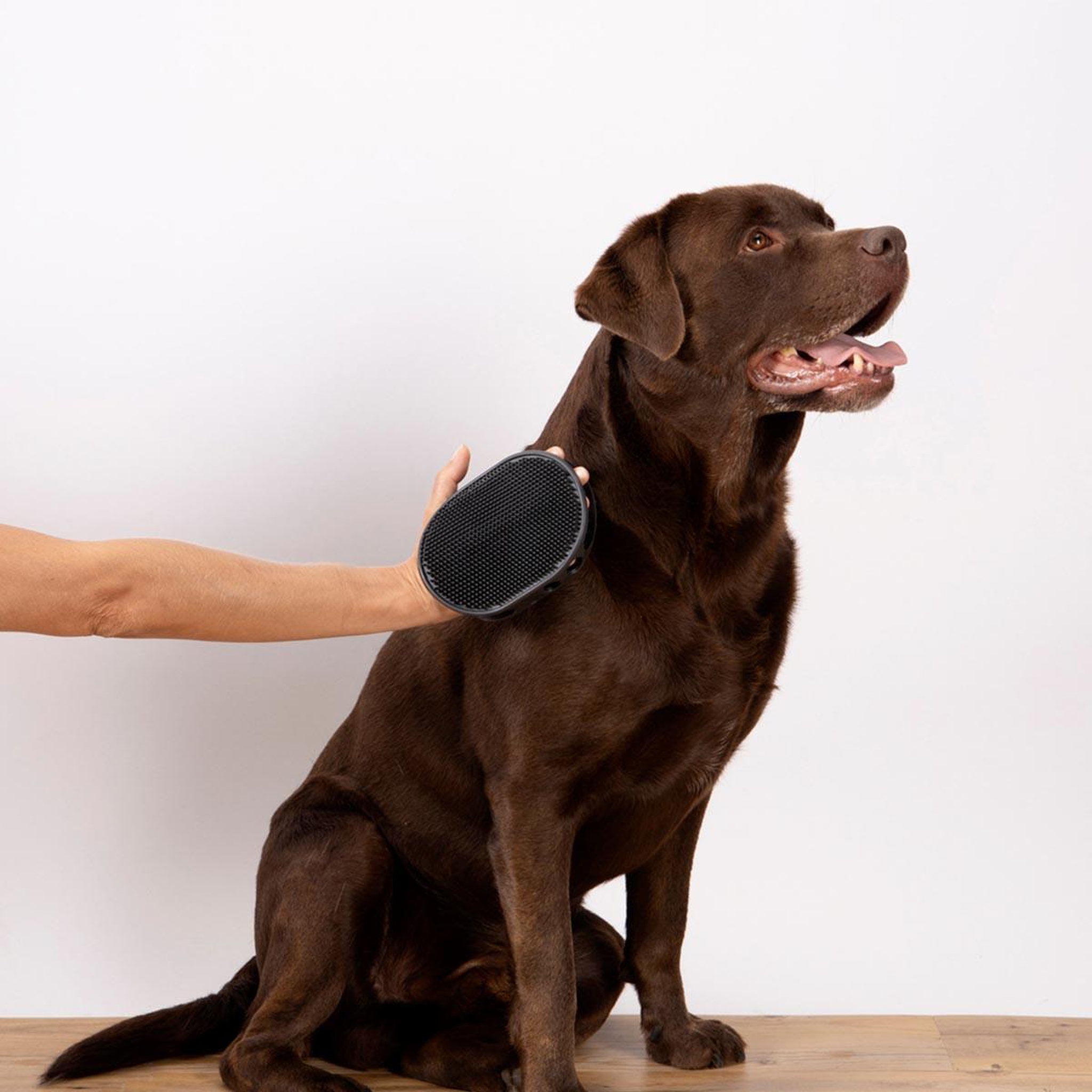 Voir la diapositive 2 : LOVE STORY Gant de brossage pour chien & chat  2 faces  15cm gris