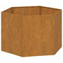 Voir la diapositive 2 : VIDAXL Jardiniere Rouille 60x60x45 cm Acier corten