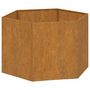 Voir la diapositive 2 : VIDAXL Jardiniere Rouille 60x60x45 cm Acier corten