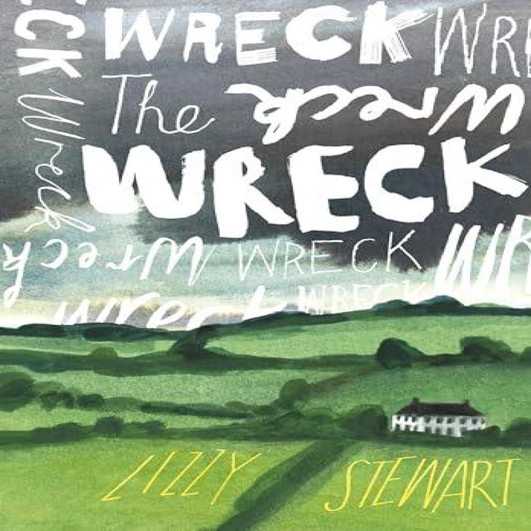 LIVRES The Wreck - Lizzy Stewart