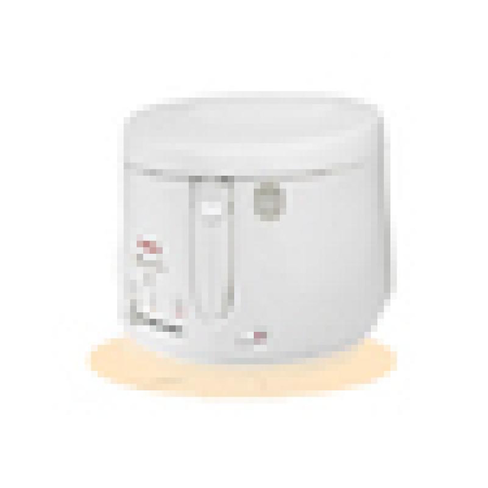 TEFAL Tefal Fryer (FF1000) MaxiFry white