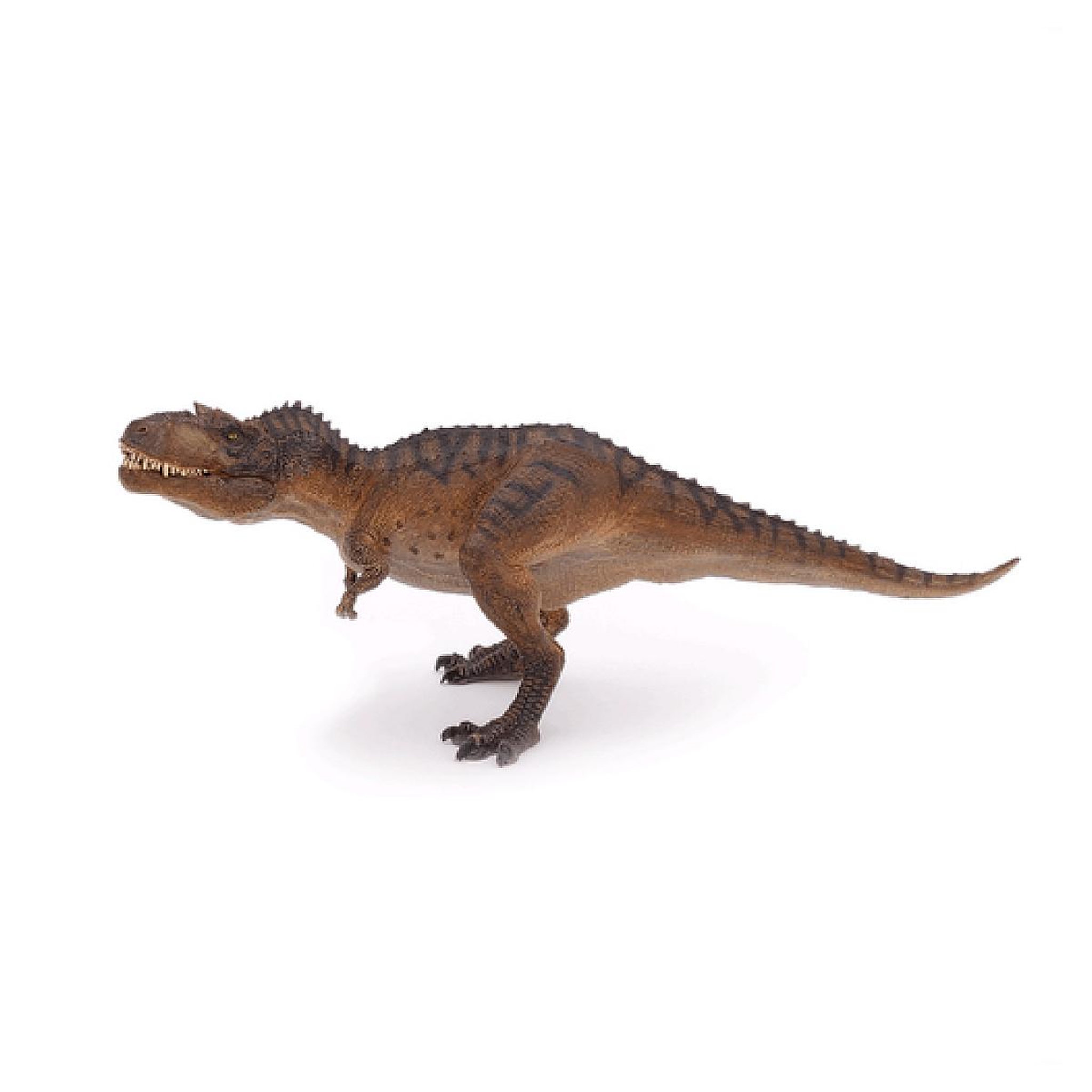 Voir la diapositive 2 : Papo 55074 - Dino  Gorgosaurus