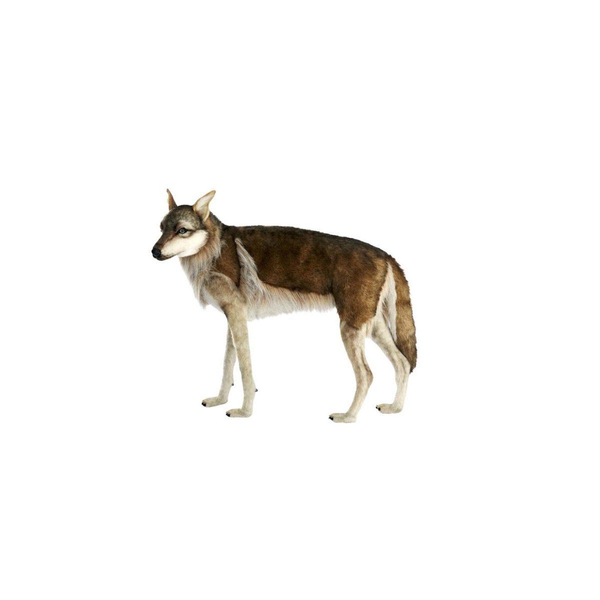 Hansa Hansa peluche geante  loup 4 pattes 105cml