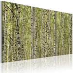 Paris Prix Tableau Imprimé  Forêt de Bouleaux. Coloris disponibles : Multicolore