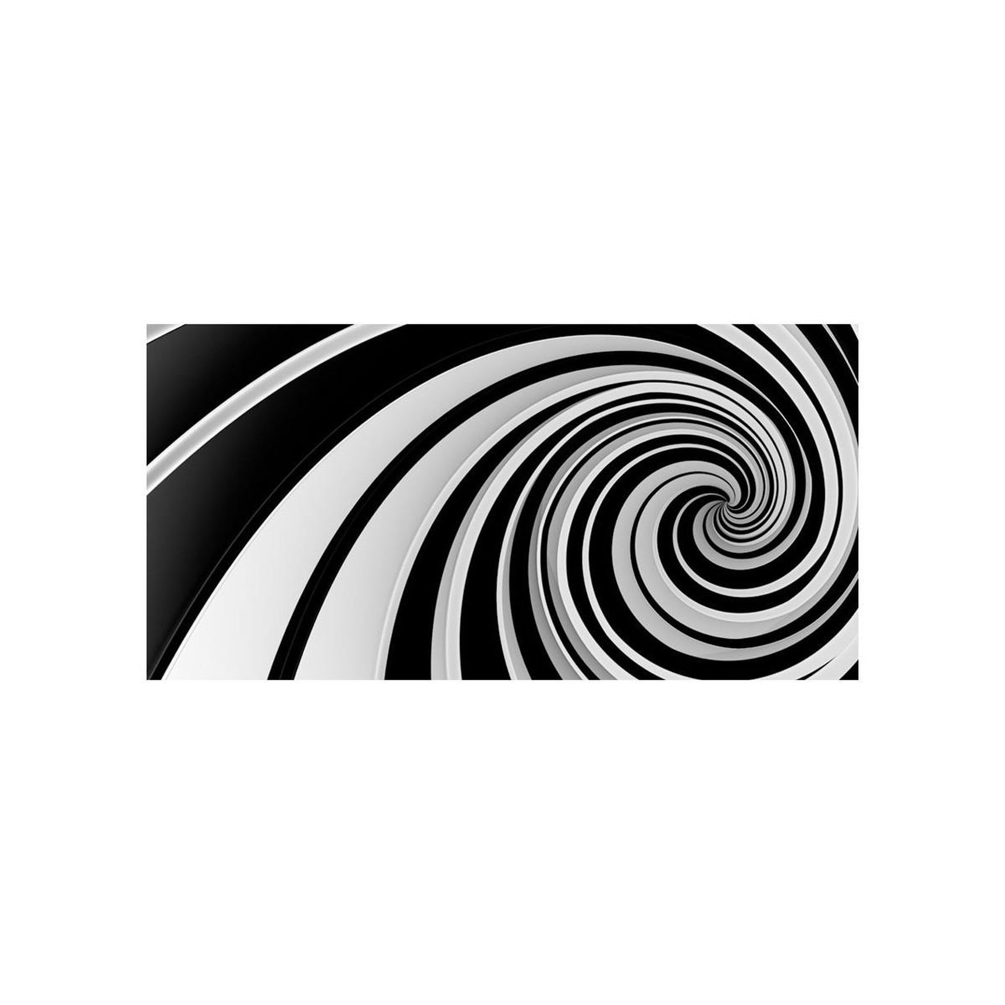Voir la diapositive 2 : Paris Prix Papier peint xxl  black & white swirl  270x550cm