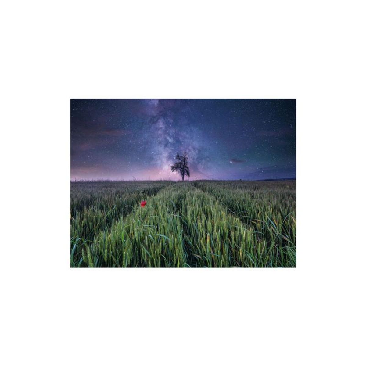 RAVENSBURGER Ravensburger - Jigsaw puzzle Nachthim.Uber Dem Kornfeld, 1500pcs. 12000799 9