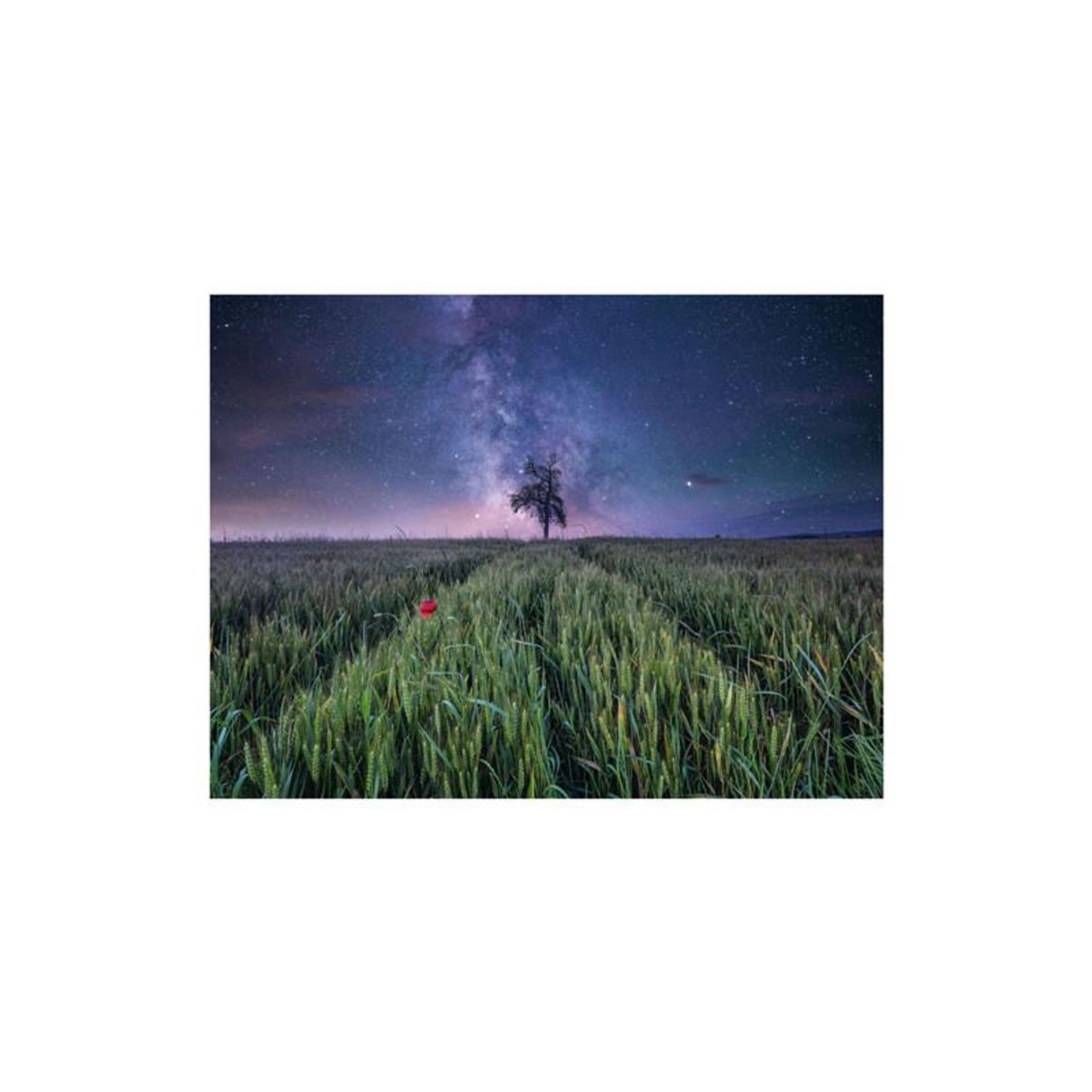 RAVENSBURGER Ravensburger - Jigsaw puzzle Nachthim.Uber Dem Kornfeld, 1500pcs. 12000799 9