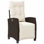 Voir la diapositive 2 : VIDAXL Chaise inclinable de jardin repose-pied marron resine tressee