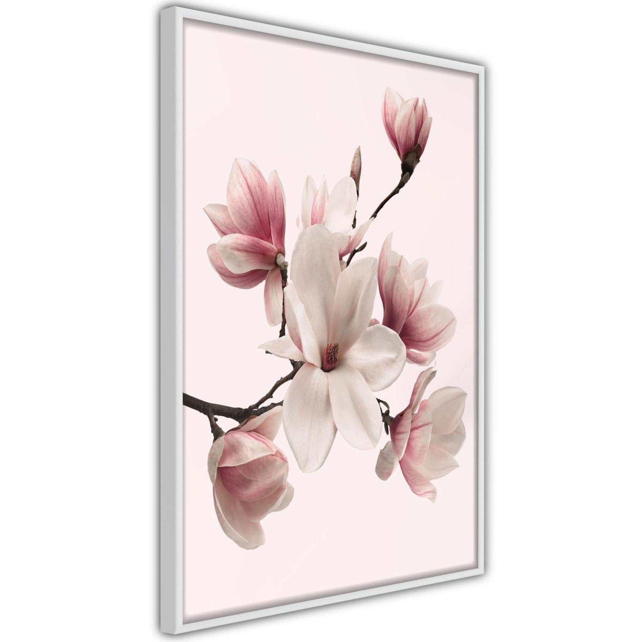 Paris Prix Affiche murale encadrée  blooming magnolias i