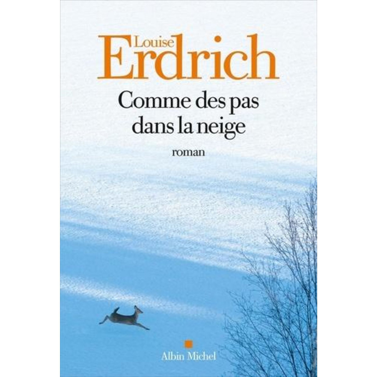 COMME DES PAS DANS LA NEIGE, Erdrich Louise