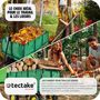 Voir la diapositive 4 : tectake Chariot de jardin chariot de transport avec des parois latérales rabattables vert