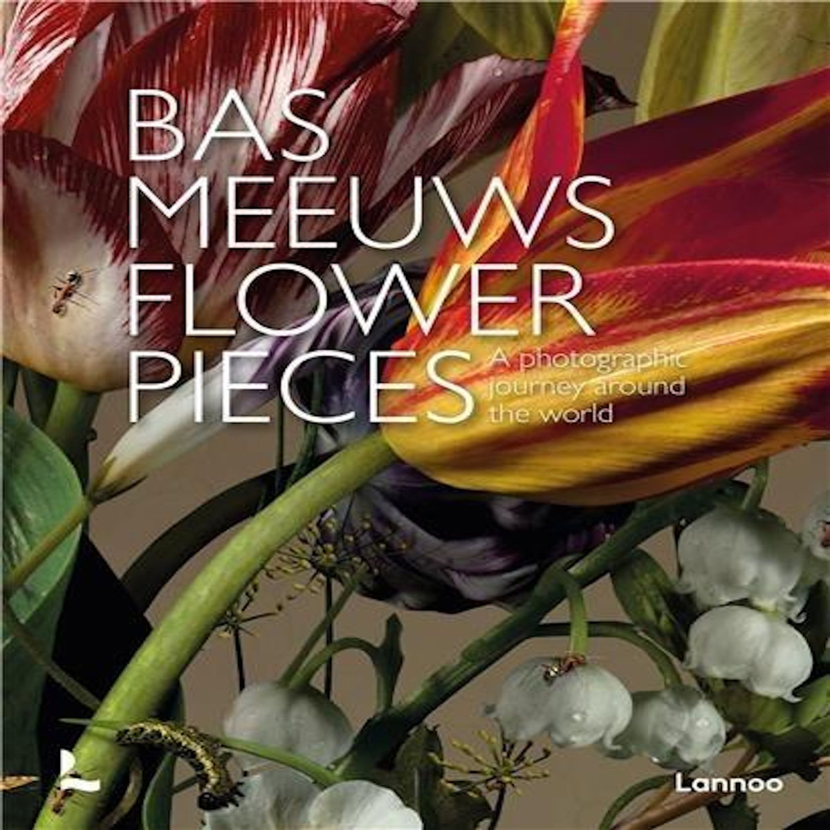 BAS MEEUWS FLOWER PIECES. EDITION EN ANGLAIS, Lannoo