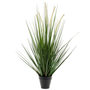 Voir la diapositive 2 : EMERALD Emerald Herbe artificielle Alopecurus Vert 120 cm 418166