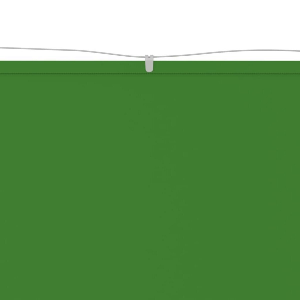 VIDAXL Auvent vertical Vert clair 250x420 cm Tissu oxford