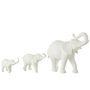 Voir la diapositive 2 : Paris Prix Statuette 3 Éléphants en Rang  Burl  38cm Blanc