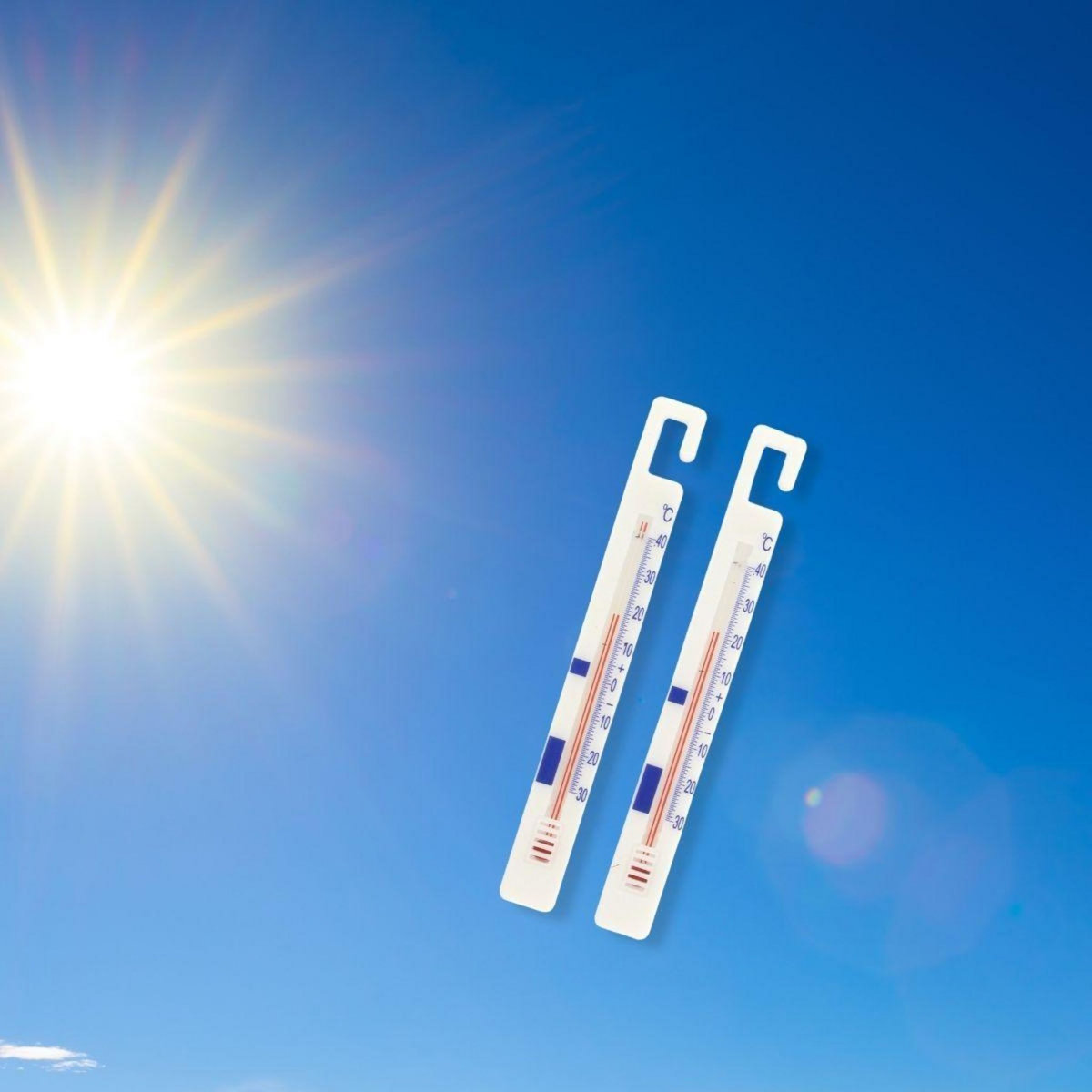 FM PROFESSIONAL Lot de 4 thermomètres réfrigérateur FM Professional