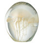 Voir la diapositive 1 : Paris Prix Presse-Papier en Verre Méduses  Calypso  16cm Beige