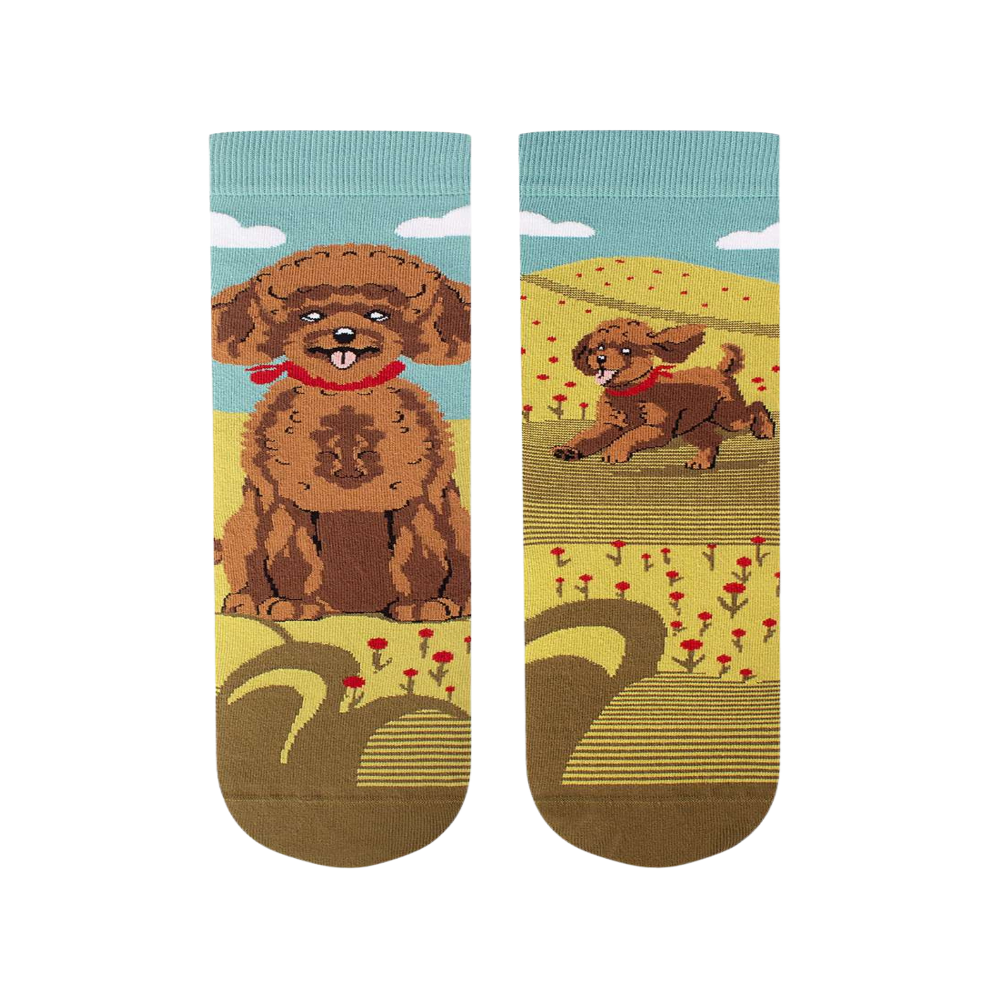 Voir la diapositive 2 : PIRIN HILL Chaussettes arty caniche