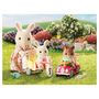 Voir la diapositive 2 : Sylvanian families 5040 - Tricycle et mini voiture bébés - Sylvanian Families