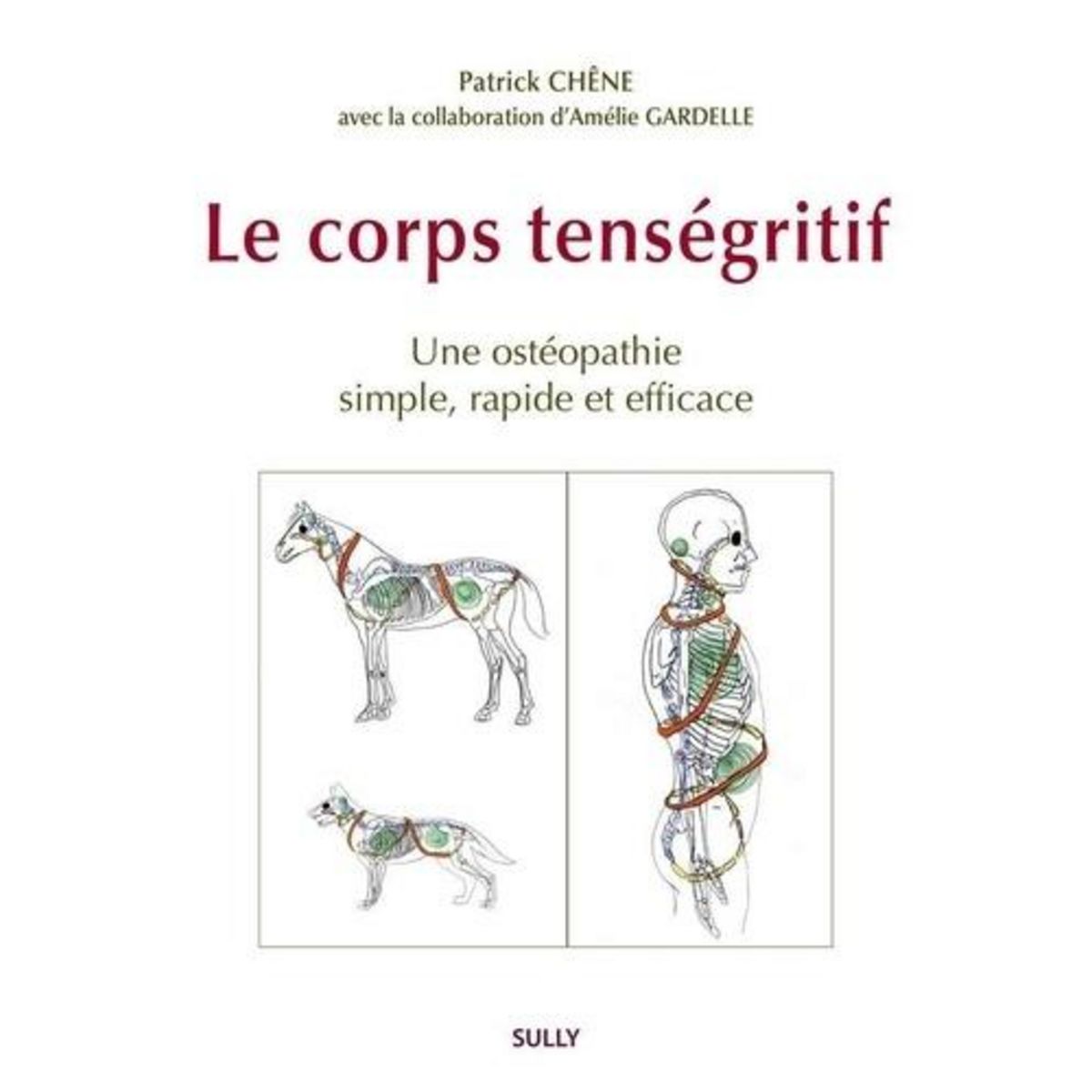LE CORPS TENSEGRITIF. UN OSTEOPATHIE EFFICACE, RAPIDE, SIMPLE, Chêne Patrick