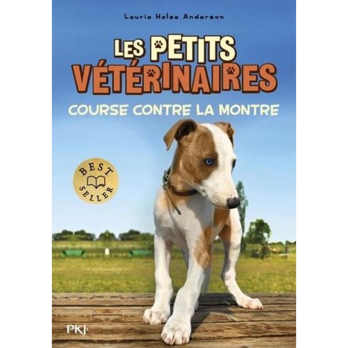 LES PETITS VETERINAIRES TOME 12 : COURSE CONTRE LA MONTRE, Halse Anderson Laurie