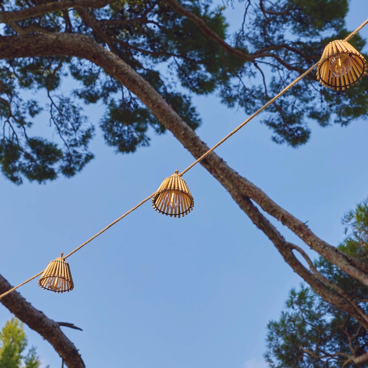 Lumisky Guirlande lumineuse extérieur NATURA Bois Bambou 8m