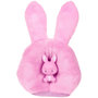 Voir la diapositive 8 : BARBIE Barbie Cutie Reveal - Lapin