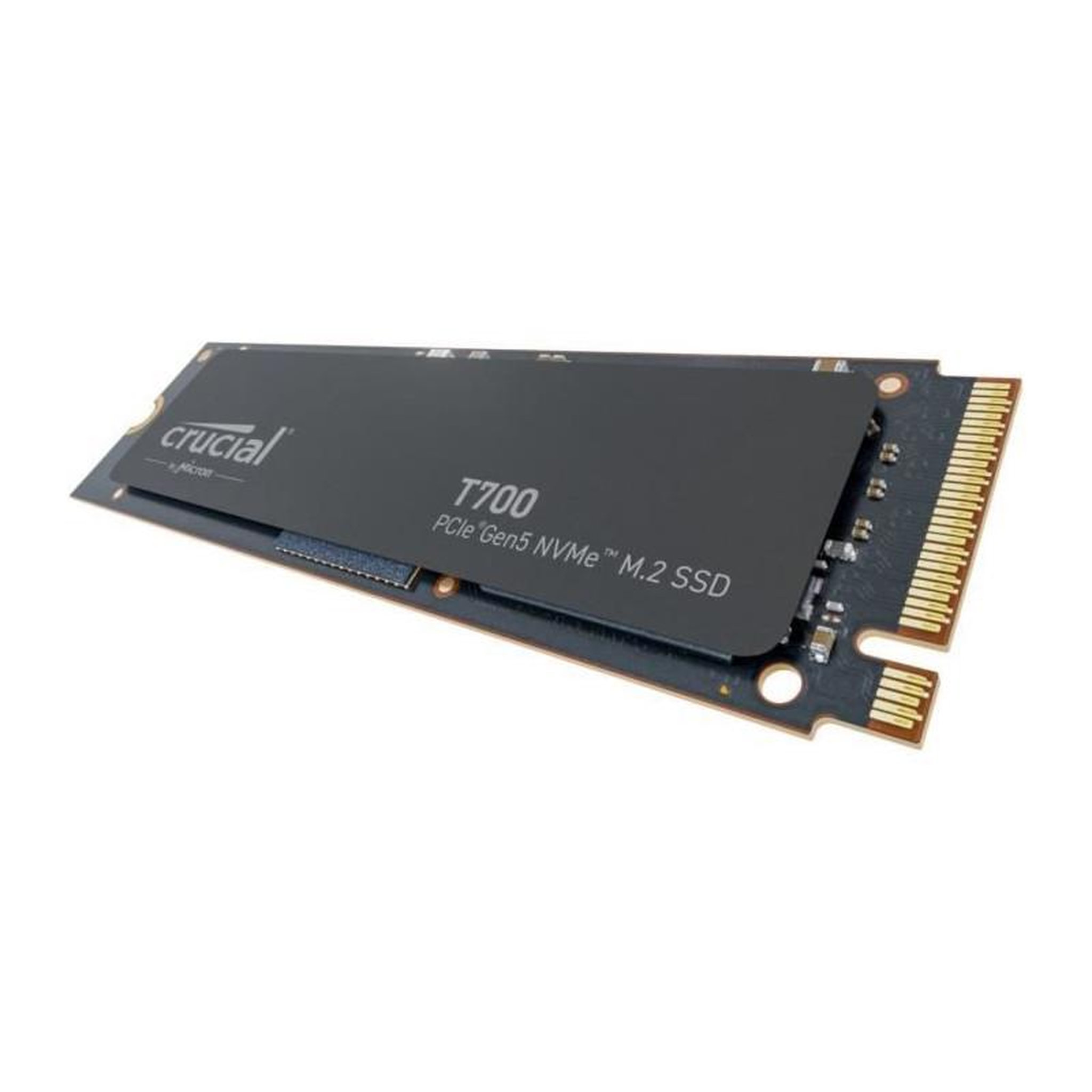 Voir la diapositive 2 : Crucial Crucial T700 - SSD Interne - 1 To - PCI Express 5.0 (NVMe)