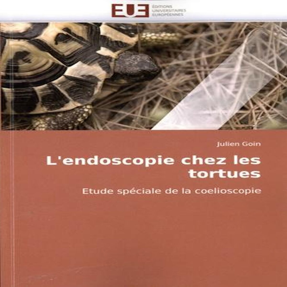 L'ENDOSCOPIE CHEZ LES TORTUES. ETUDE SPECIALE DE LA COELIOSCOPIE, Goin Julien