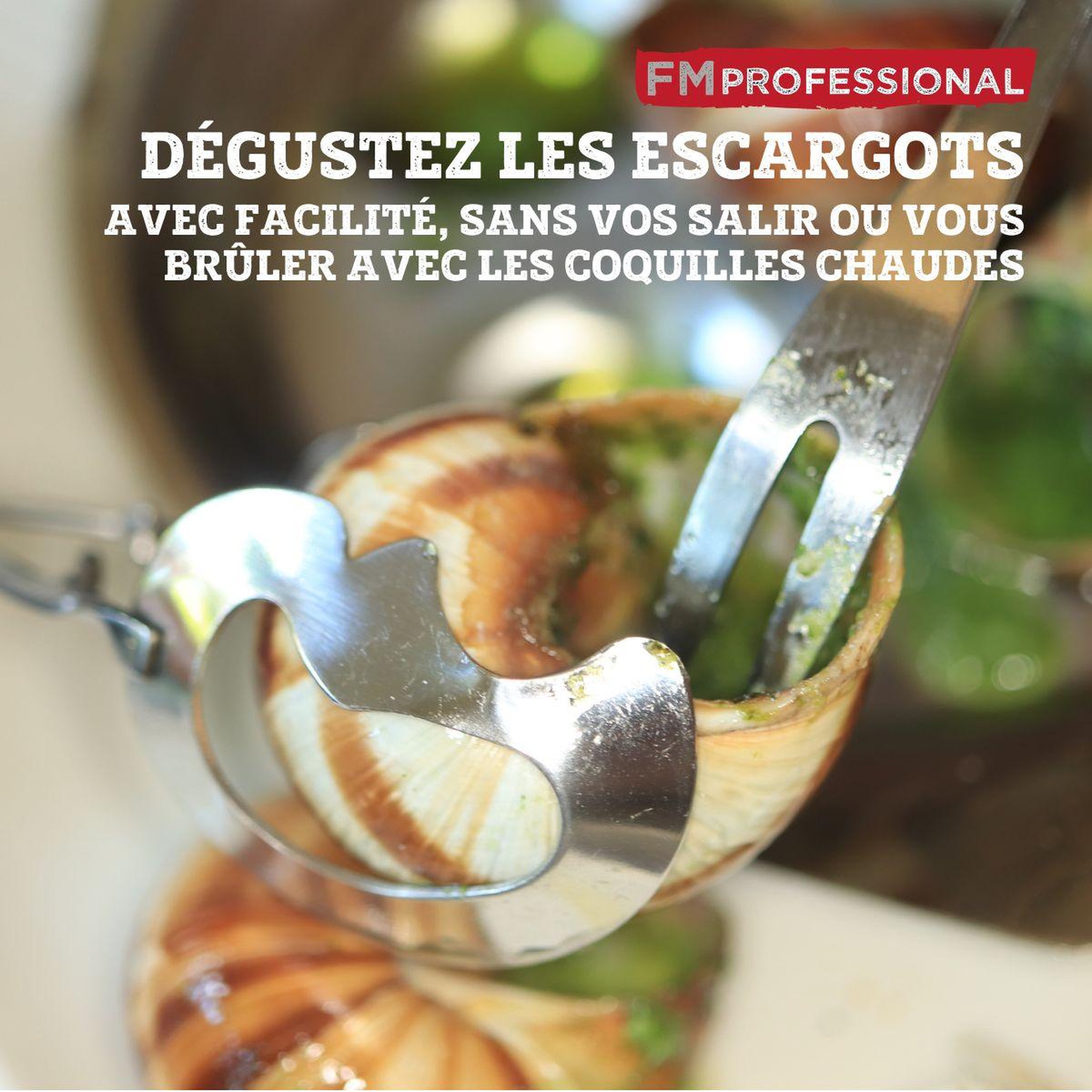 Voir la diapositive 4 : FM PROFESSIONAL Lot de 4 pinces à escargot FM Professional