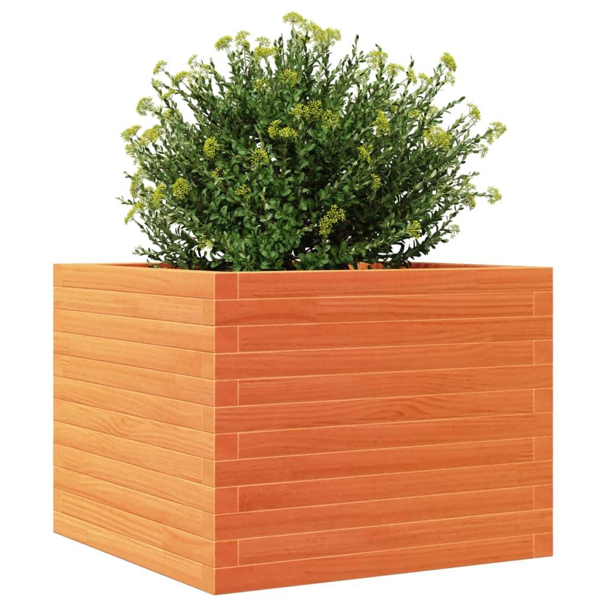 Voir la diapositive 4 : VIDAXL Jardiniere cire marron 60x60x46 cm bois de pin massif