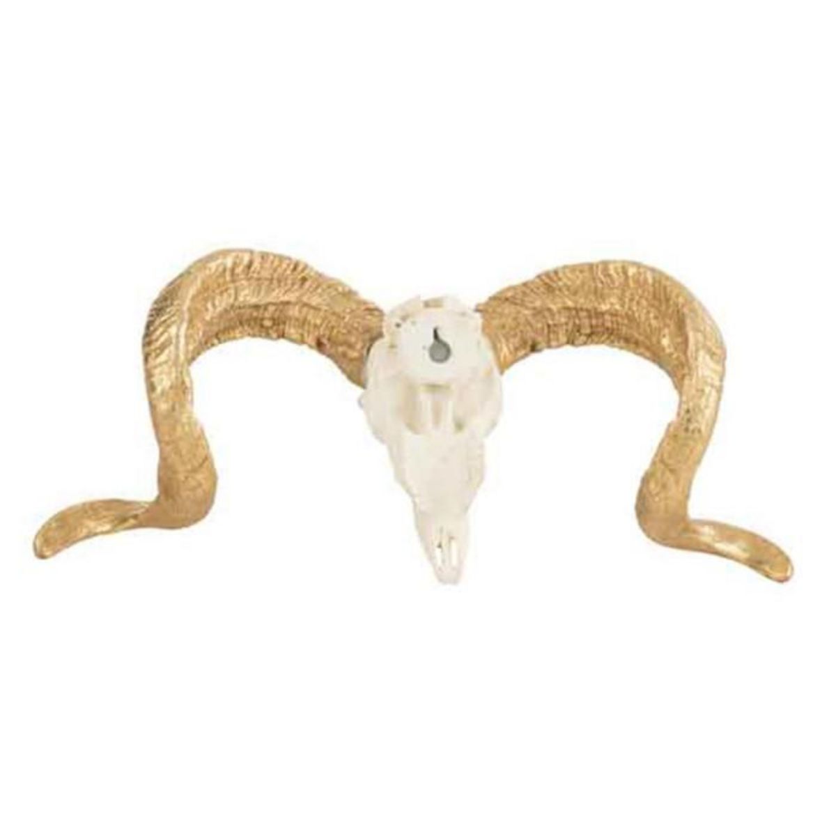 Paris Prix Statuette Déco  Crâne Mouton  32cm Blanc & Or