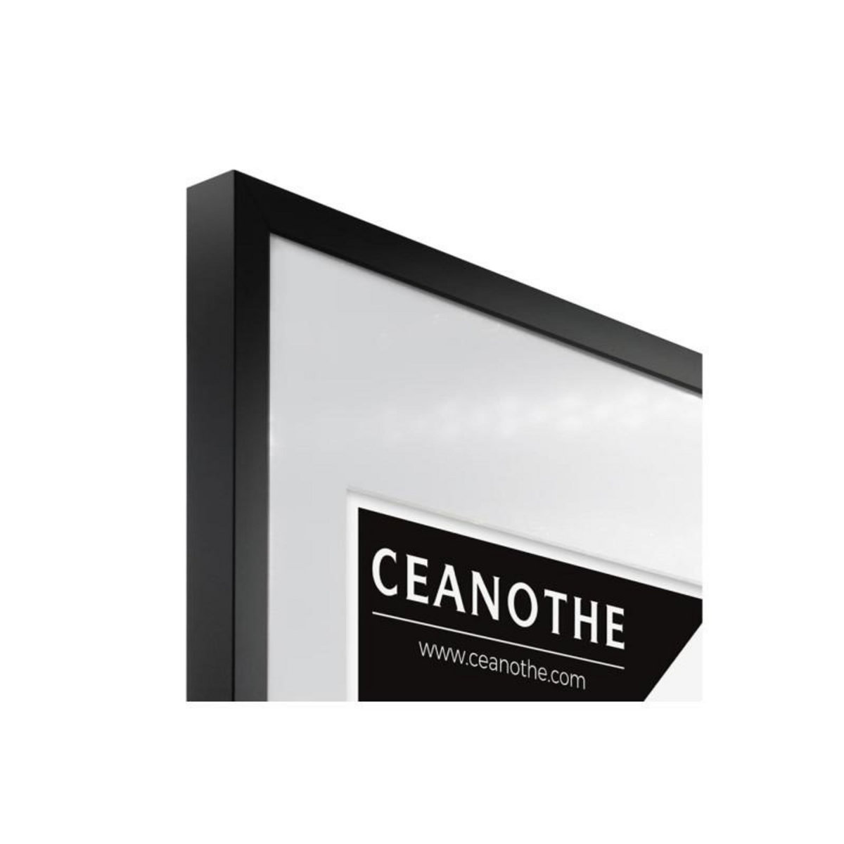 CEANOTHE Cadre Ceanothe CADRE 50X70 OUV 40X50 MILAN NOIR