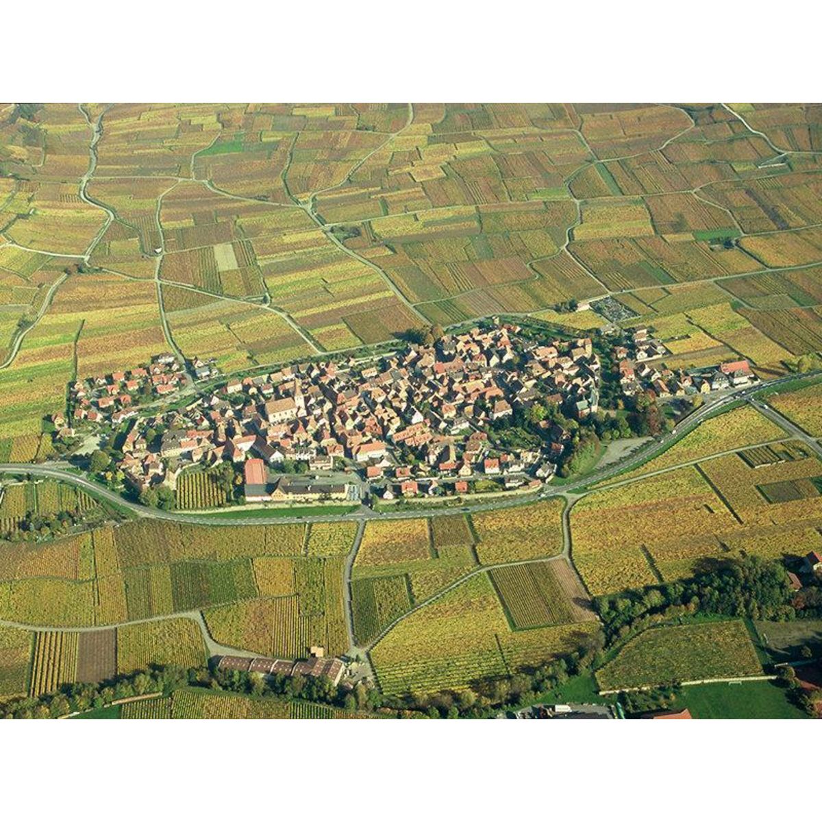 Smartbox Visite œnologique avec dégustation en duo et 3 bouteilles de vin près de Colmar - Coffret Cadeau Gastronomie