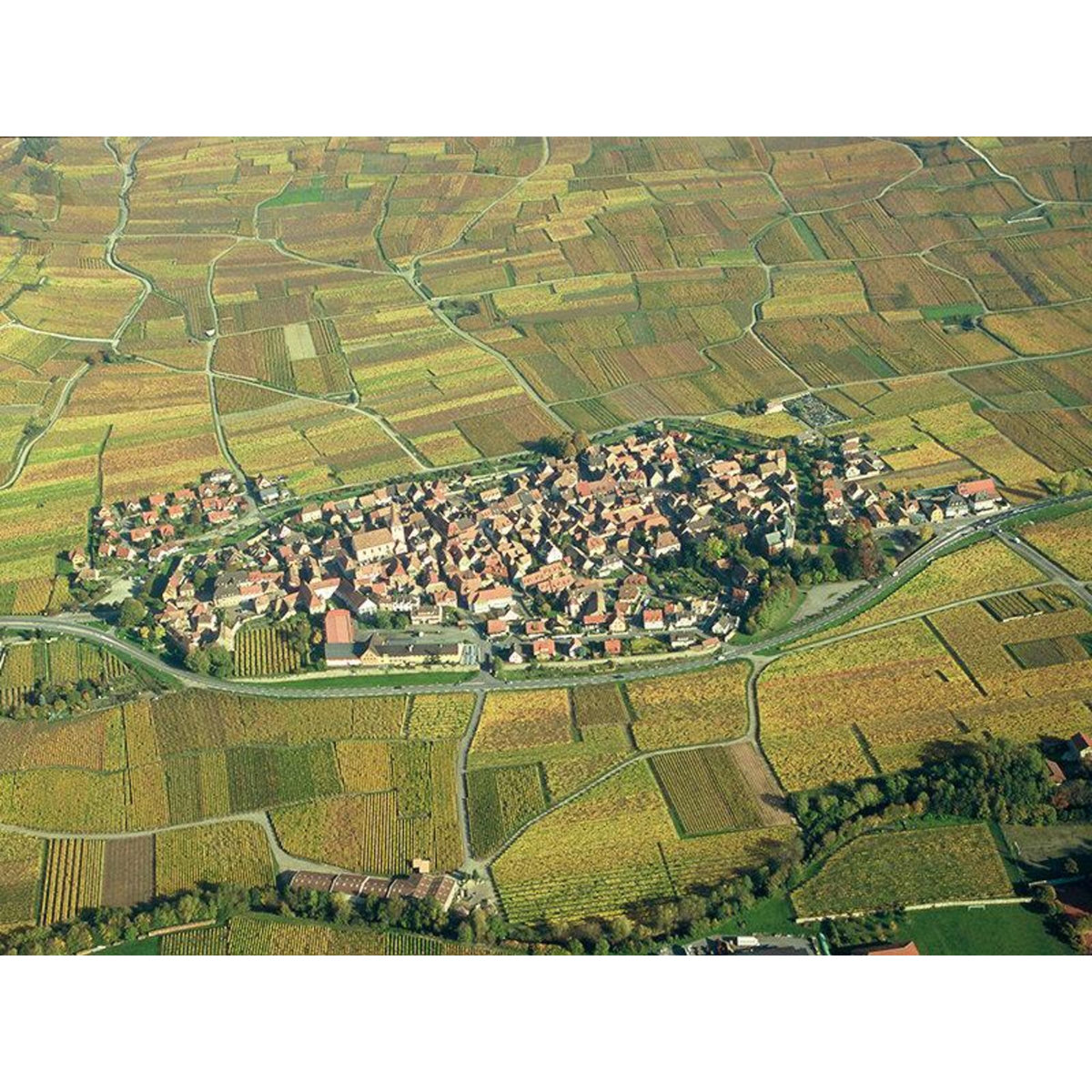 Smartbox Visite œnologique avec dégustation en duo et 3 bouteilles de vin près de Colmar - Coffret Cadeau Gastronomie