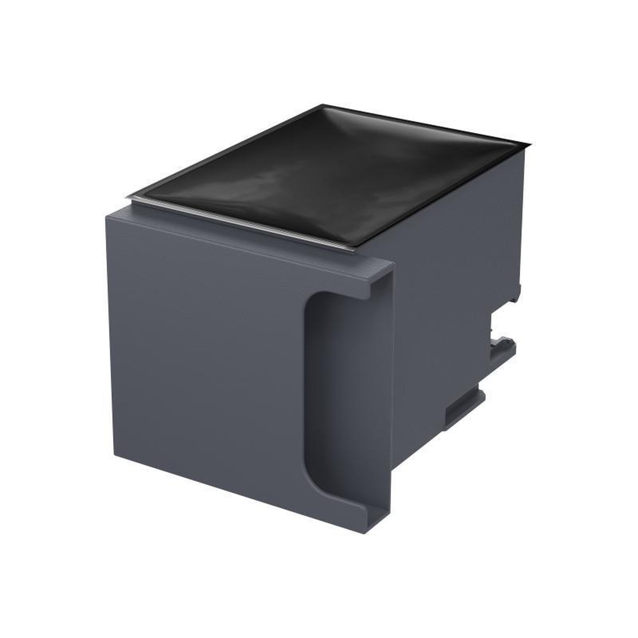 Epson Epson Maintenance Box (C13T671400)