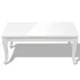 VIDAXL Table basse 100 x 60 x 42 cm Laquee Blanc