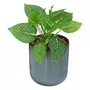  Plante Artificielle en Pot  Reac  16cm Bleu & Vert
