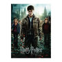Voir la diapositive 2 : RAVENSBURGER Puzzle 300 p XXL - Harry Potter et les Reliques de la Mort II