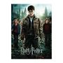 Voir la diapositive 2 : RAVENSBURGER Puzzle 300 p XXL - Harry Potter et les Reliques de la Mort II