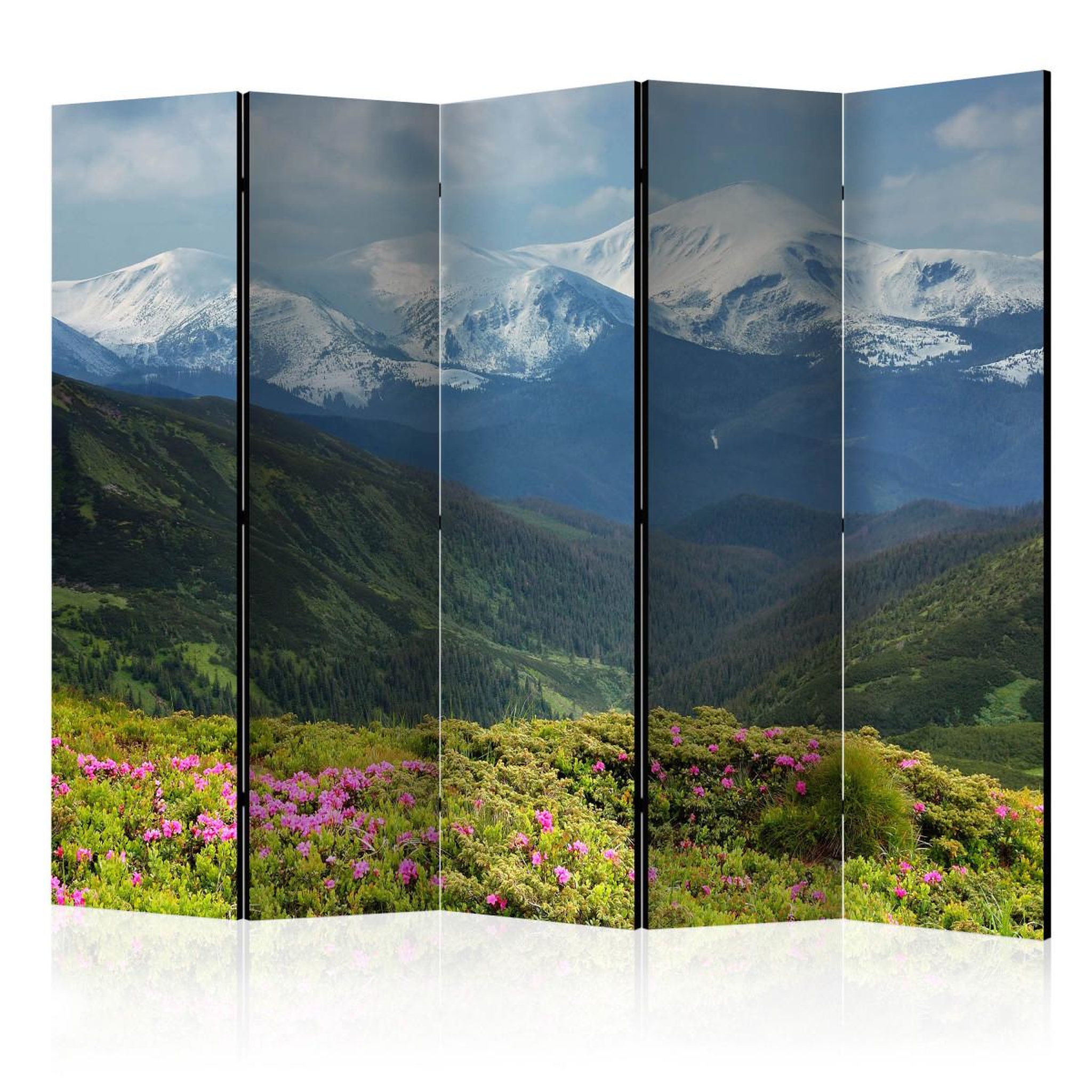 Paris Prix Paravent 5 volets  spring mountain landscape  172x225cm