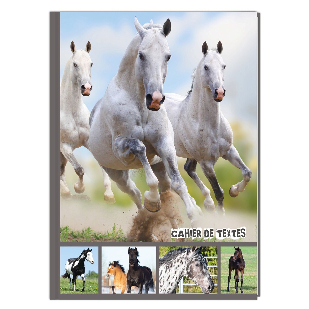 Cahier de texte fille 15,5x21,5cm 204 pages - 3 chevaux Blanc au galop