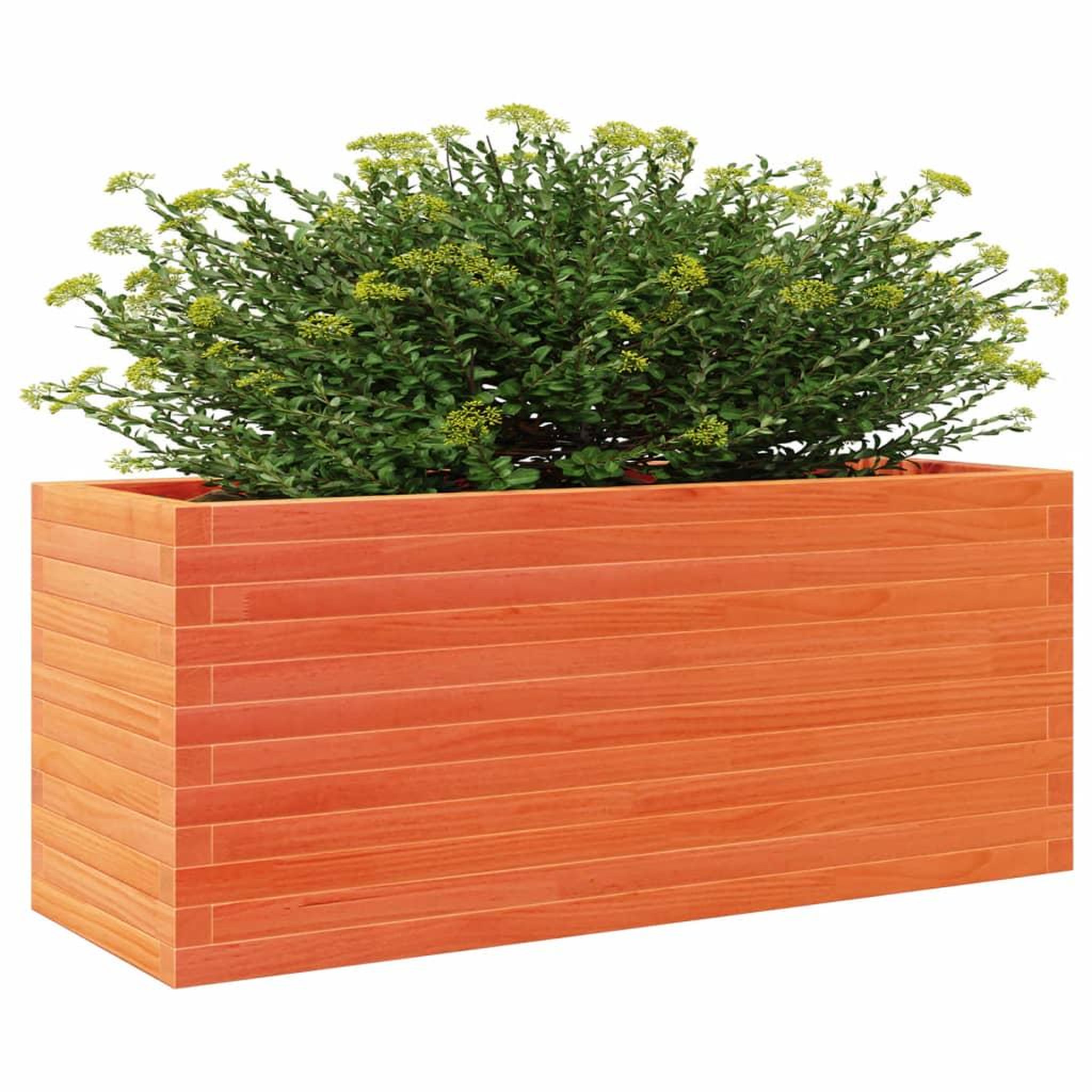 Voir la diapositive 4 : VIDAXL Jardiniere cire marron 110x40x46 cm bois de pin massif