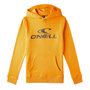 Voir la diapositive 1 : O'NEILL Sweat  Garçon O'Neill N4750004