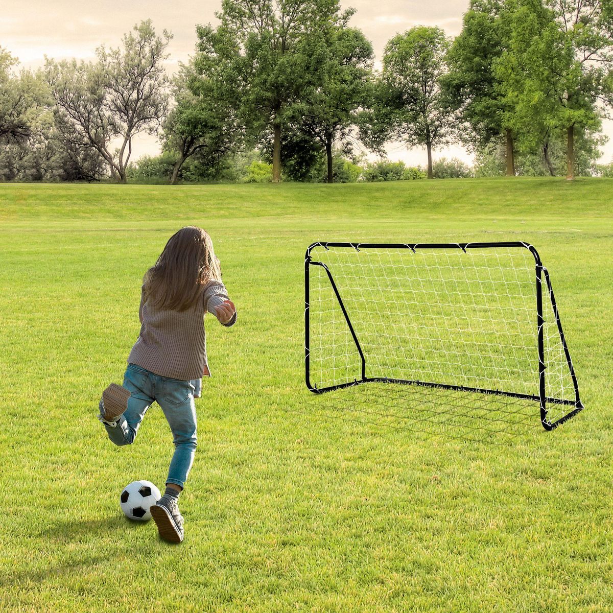 HOMCOM But de football - cage de foot - but futsal dim. 203L x 81l x 120H cm - châssis métal époxy filet polyester - piquets inclus - noir