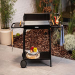 GARDENSTAR Barbecue charbon avec roues - Acier - 125x56x93.5cm