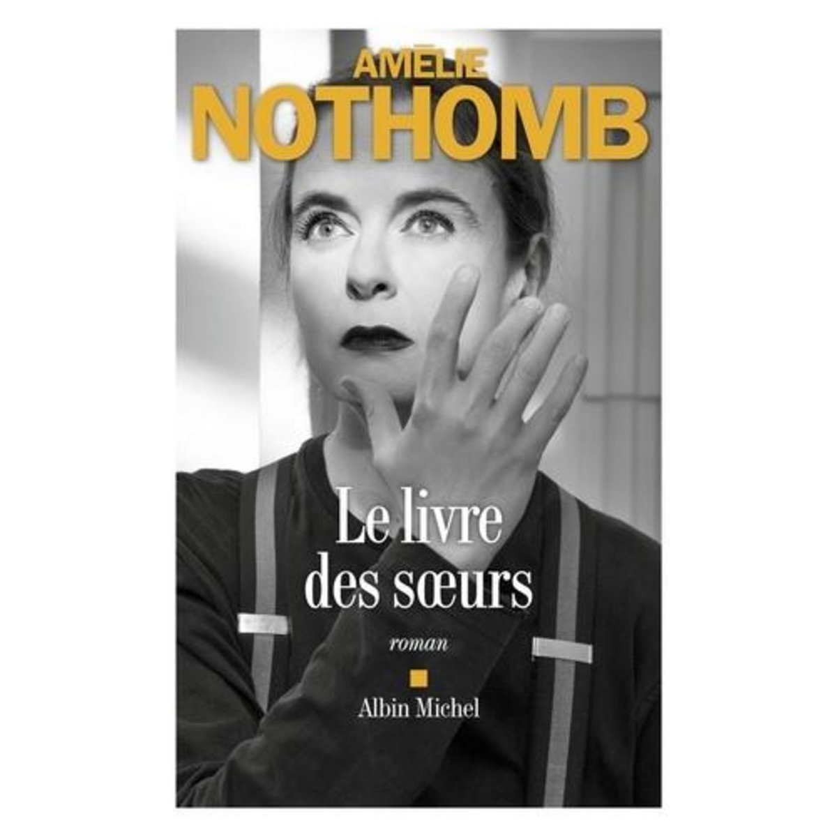 LE LIVRE DES SOEURS, Nothomb Amélie
