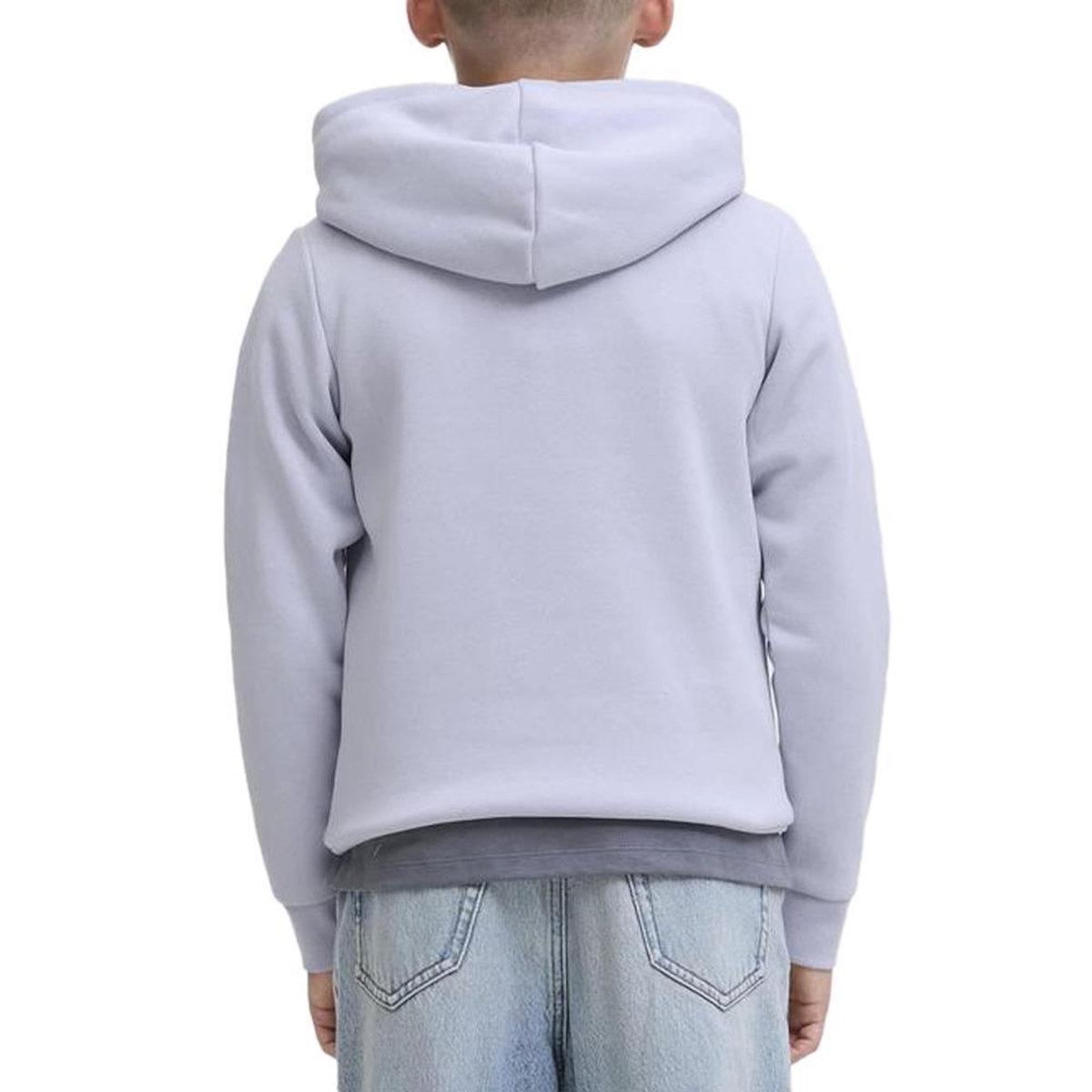 Jack & Jones Sweat à Capuche Mauve Garçon Jack & Jones Makoto